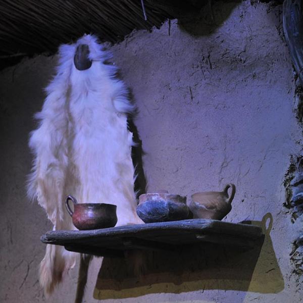 Ceșcuțe